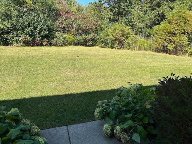 1232 S Candlestick Way in Waukegan, IL - Building Photo - Building Photo