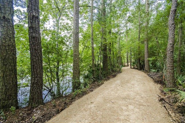 The Towers Woodland in Conroe, TX - Foto de edificio - Building Photo