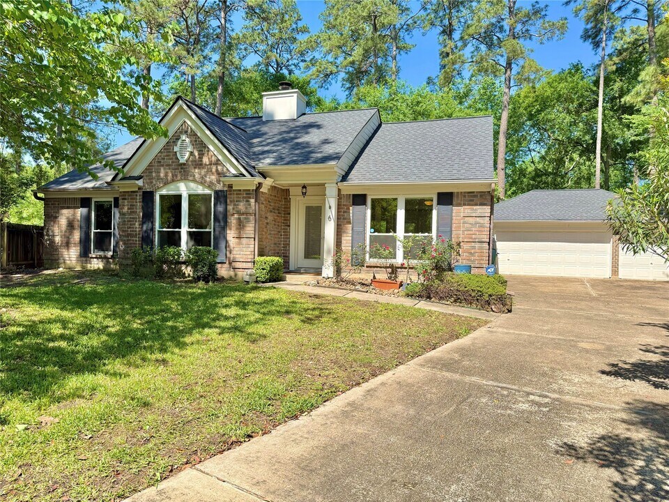 6 E Indian Sage Cir in Spring, TX - Building Photo