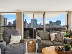 1360 N Sandburg Terrace in Chicago, IL - Building Photo - Building Photo