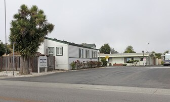 Blue & Gold Star Mobile Home Park