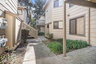 704 Windsor in Hercules, CA - Building Photo