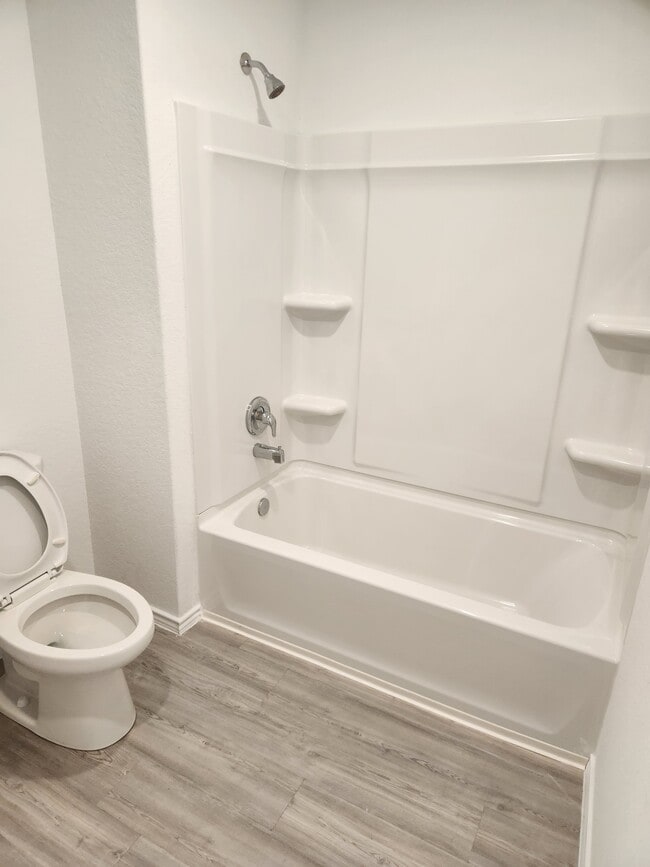 12919 Blue Hole in Saint Hedwig, TX - Building Photo - Building Photo