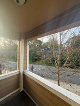 1186 Walker Ave in Walnut Creek, CA - Building Photo - Building Photo