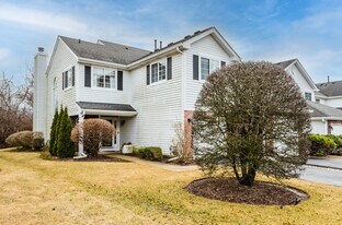 8257 Ripple Ridge in Darien, IL - Building Photo