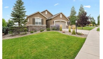 9316 Rock Pond Way in Colorado Springs, CO - Building Photo