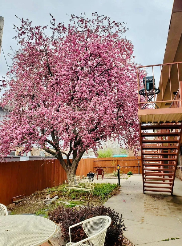 3300 S Clarkson St, Unit 102 in Englewood, CO - Foto de edificio - Building Photo