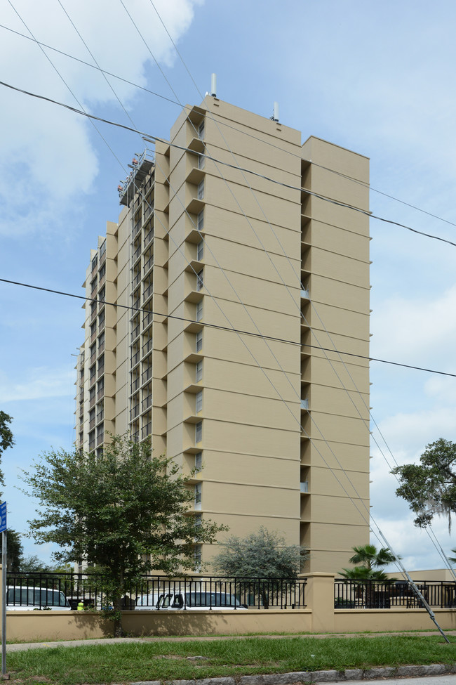 Palma Avenue in Tampa, FL - Foto de edificio - Building Photo