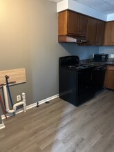 233 N Chestnut St in Lansing, MI - Building Photo - Building Photo