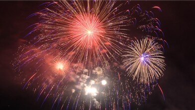 1966 Harvard Ave E in Seattle, WA - Building Photo - Building Photo