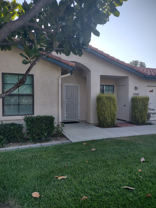 1061 Mountain View Dr in Hemet, CA - Building Photo