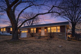 9712 Griffin Dr in St. Louis, MO - Building Photo