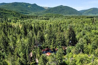 321 Paradise Dr in Ashford, WA - Foto de edificio - Building Photo