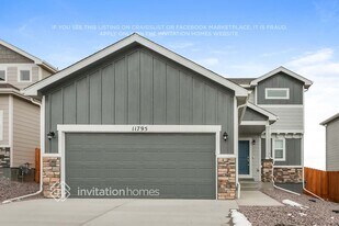 11795 Mission Peak Pl in Colorado Springs, CO - Building Photo