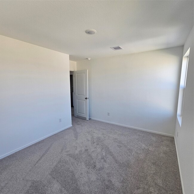 21310 Offida Ln in New Caney, TX - Foto de edificio - Building Photo