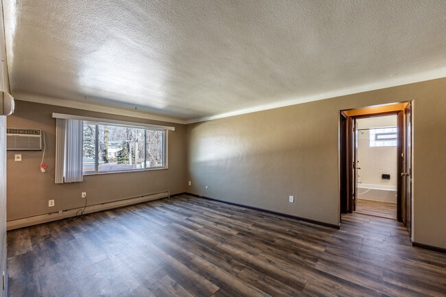 Minnehaha Apartments in St. Paul, MN - Building Photo - Building Photo