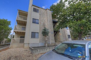 1013 Chestnut St in San Marcos, TX - Building Photo