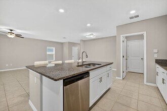 17893 Cloudless Bliss Dr in Lutz, FL - Building Photo - Building Photo