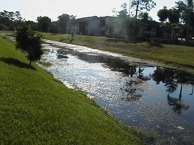 13450 Old Englishtown Rd in Wellington, FL - Building Photo