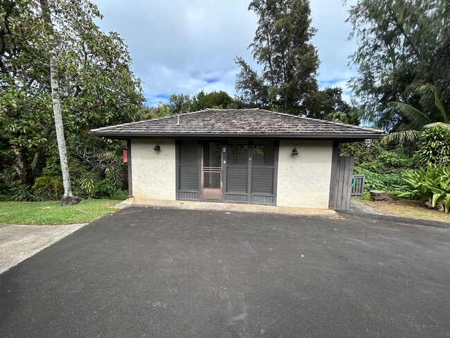 3890 Kamehameha Rd in Princeville, HI - Building Photo - Building Photo
