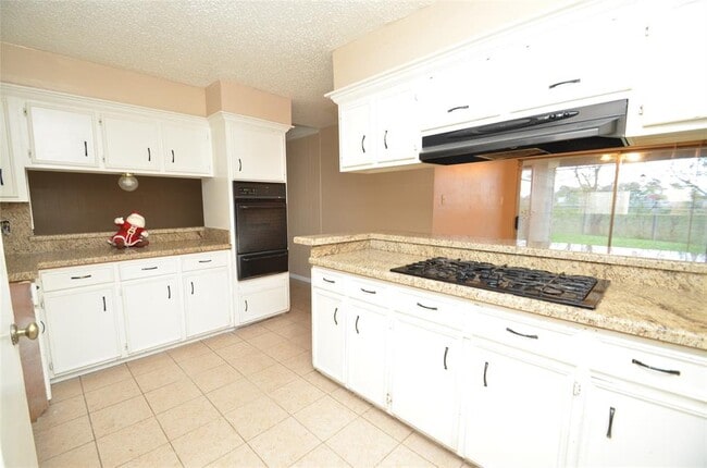 439 Breeze Park Dr in Houston, TX - Building Photo - Building Photo