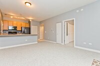 1515 S Halsted St, Unit 214 photo'