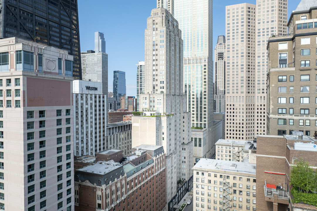 The Palmolive Condos in Chicago, IL - Building Photo