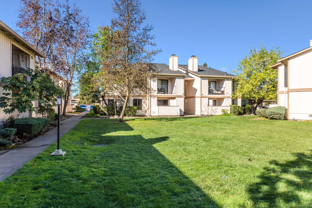 Camino Creek in Rohnert Park, CA - Foto de edificio