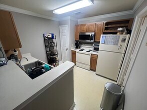 18141 Back Stretch Ln in Tampa, FL - Building Photo - Building Photo