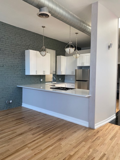1734 W Cortland St, Unit 1 in Chicago, IL - Building Photo - Building Photo