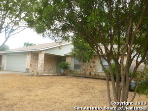 15019 Old Creek St in San Antonio, TX - Building Photo - Building Photo