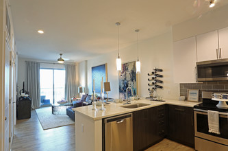 Nine15 in Tampa, FL - Building Photo - Interior Photo