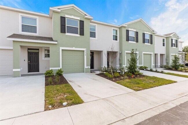 17216 Bigleaf Mahogany Ln in Land O Lakes, FL - Building Photo - Building Photo