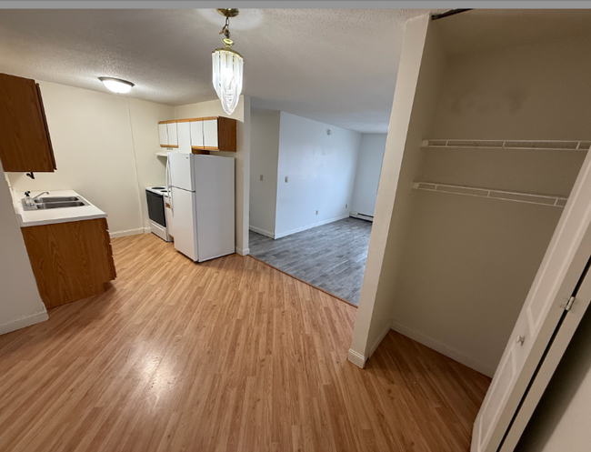 1516 1st St E in Thief River Falls, MN - Foto de edificio - Building Photo