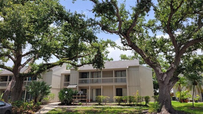 property at 2224 Bahia Vista St