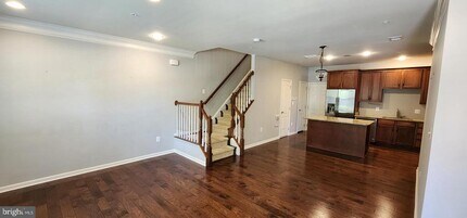 23552 Hopewell Manor Terrace in Ashburn, VA - Building Photo - Building Photo