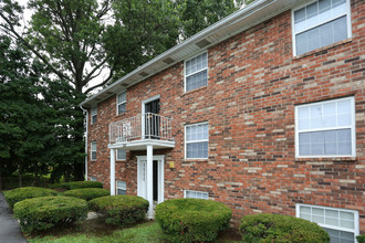 Williamsburg Apartments in Louisville, KY - Building Photo - Building Photo