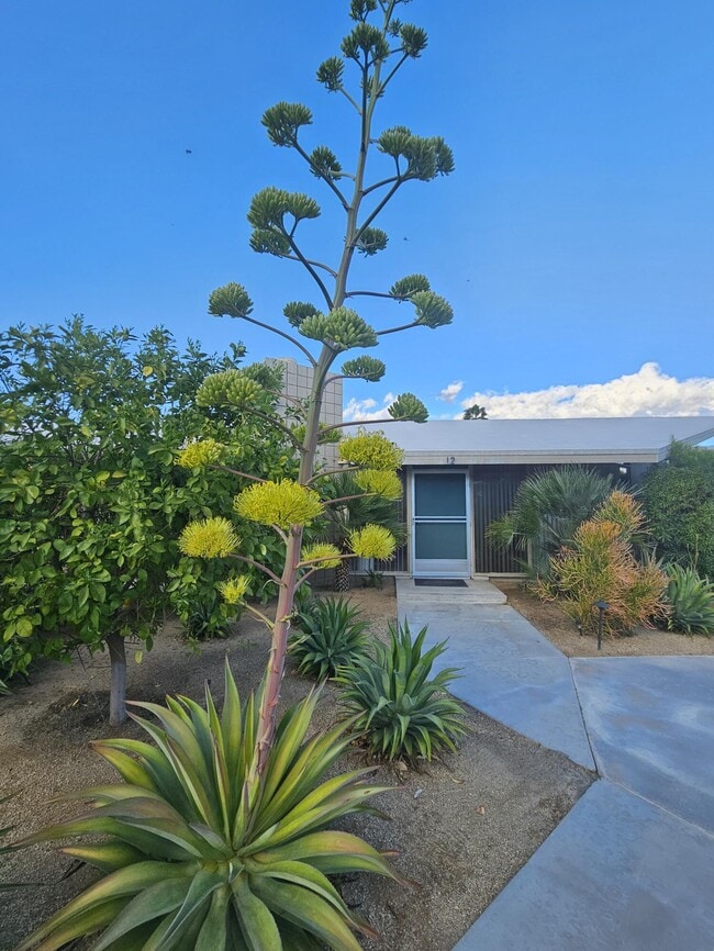 37800 Da Vall Dr in Rancho Mirage, CA - Building Photo - Building Photo