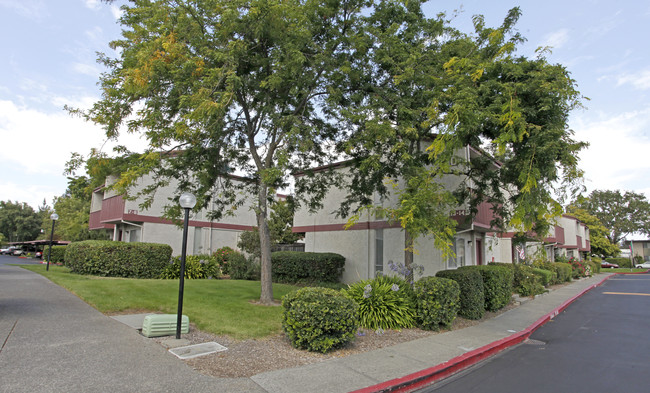 Park Villa Apartments in Santa Rosa, CA - Building Photo - Building Photo