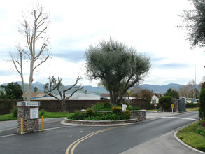 The Meadows in Riverside, CA - Foto de edificio - Building Photo