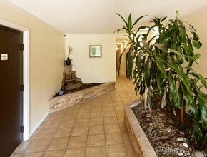 817 10th St, Unit #206 in Santa Monica, CA - Building Photo - Building Photo