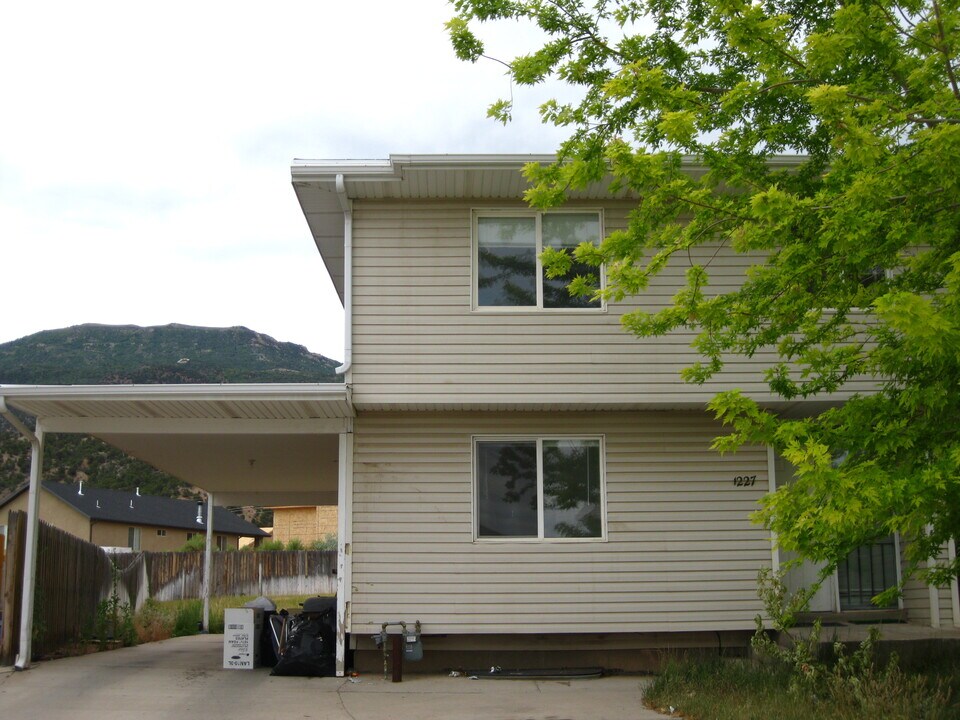 1227 Pinecone Dr Photo