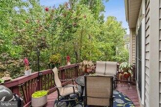 6667 Debra Lu Way in Springfield, VA - Building Photo - Building Photo