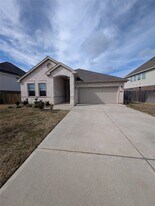 30454 Butternut Oak Ln in Magnolia, TX - Building Photo