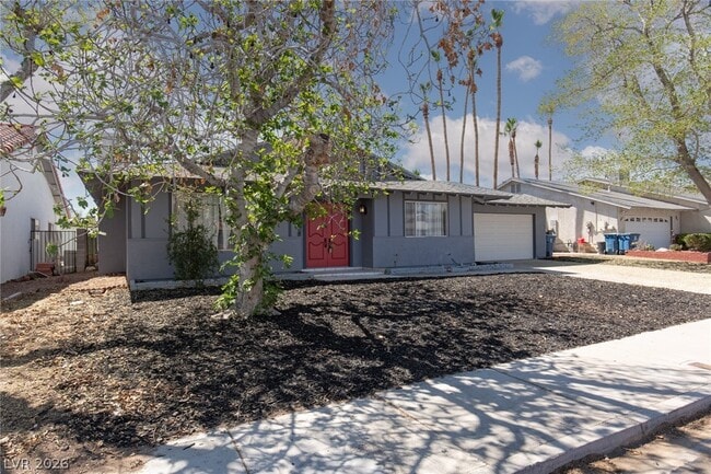 3109 Downing Pl in Las Vegas, NV - Building Photo - Building Photo