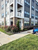 3700 Maze Runner Dr in Midlothian, VA - Building Photo