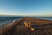 Apartments in Leamington, ON