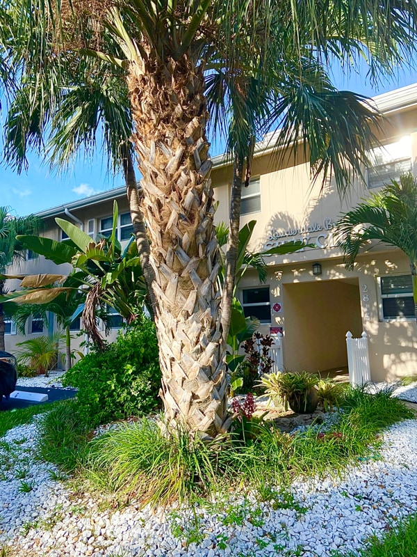 2815 NE 33rd Ave in Fort Lauderdale, FL - Building Photo - Building Photo
