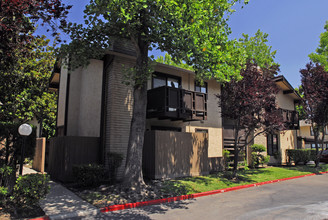 Grouse Run Apartments in Stockton, CA - Building Photo - Building Photo