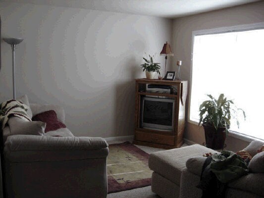 679 Unshakeable Faith Ln N W in Bemidji, MN - Building Photo - Building Photo